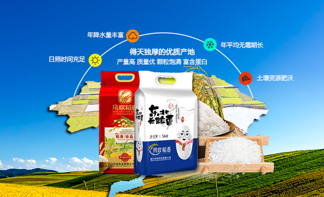 首页| 6008集团官方网站有限公司